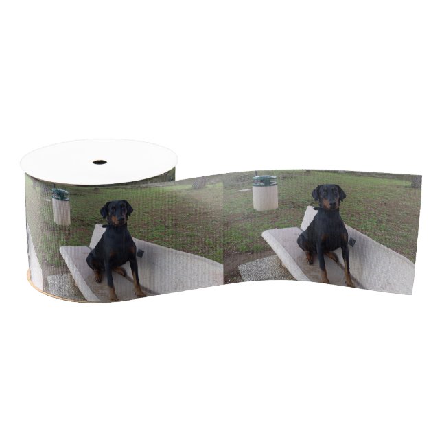 Doberman Flipper Ripsband (Spule)