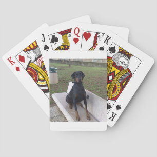 Doberman Flipper Spielkarten