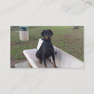 Doberman Flipper Visitenkarte