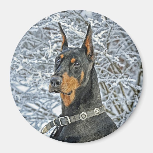 Doberman Fosty Day Magnet (Vorne)