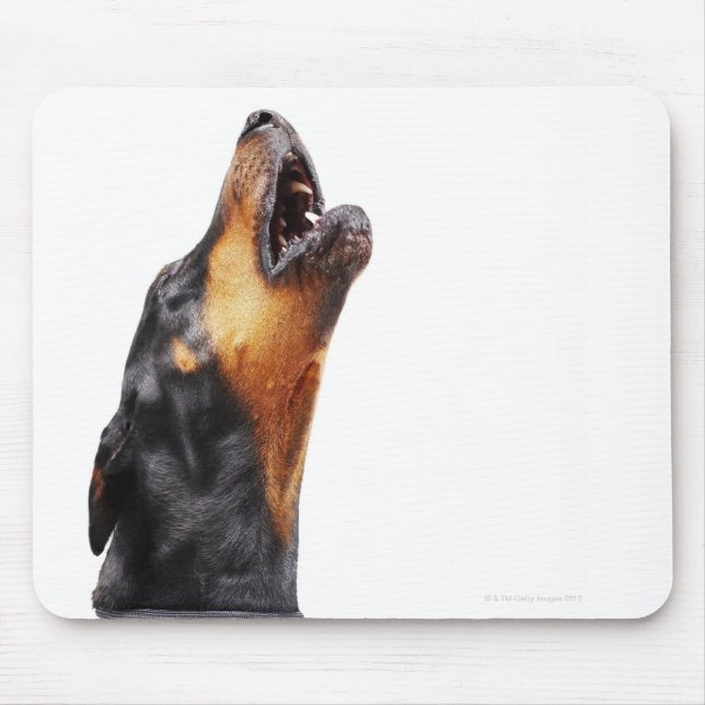 Doberman hewling mousepad (Vorne)