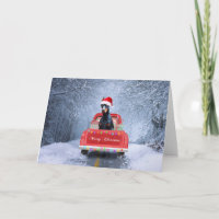 Doberman Hund in Schnee sitzen im Weihnachtswagen