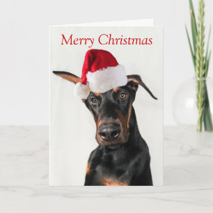 Doberman Hund mit Weihnachtsmannmütze Weihnachtska Feiertagskarte