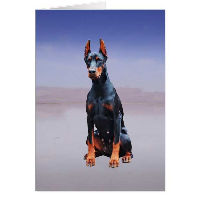 Doberman Hund sitzt am Strand (Vorne)