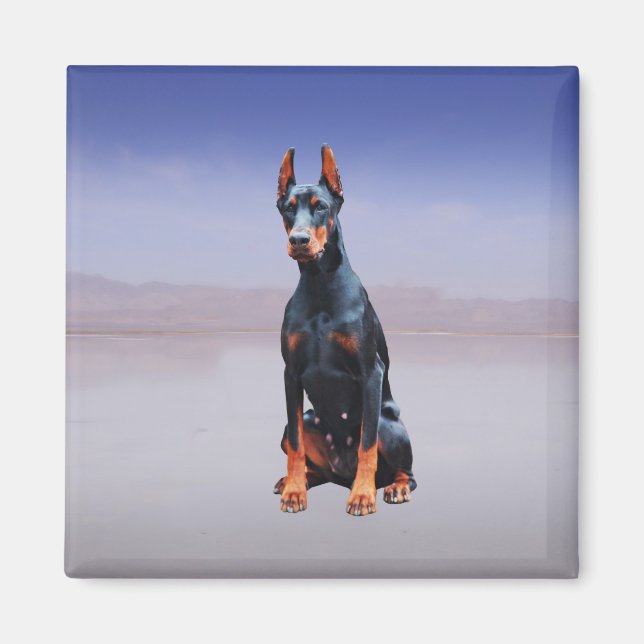 Doberman Hund sitzt am Strand Magnet (Vorne)