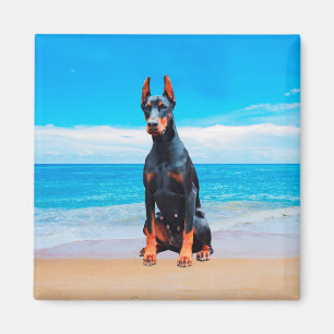 Doberman Hund sitzt am Strand Magnet
