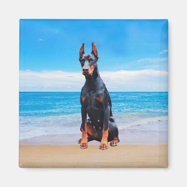 Doberman Hund sitzt am Strand Magnet (Vorne)