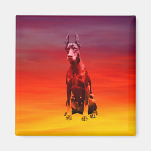 Doberman Hund sitzt am Strand Magnet