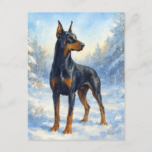 Doberman im Winterschnee Postkarte