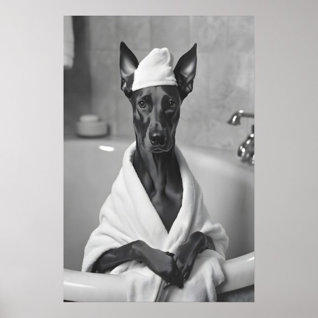 Doberman in Bathrobe, Funny Bathroom Art Poster (Vorne)