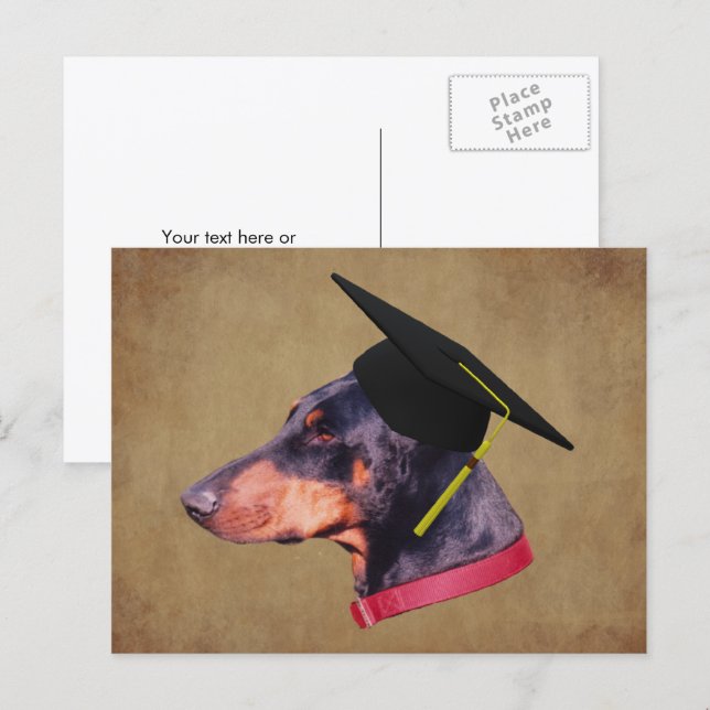 Doberman In Graduation Cap Funny Dog Personalized Postkarte (Vorne/Hinten)