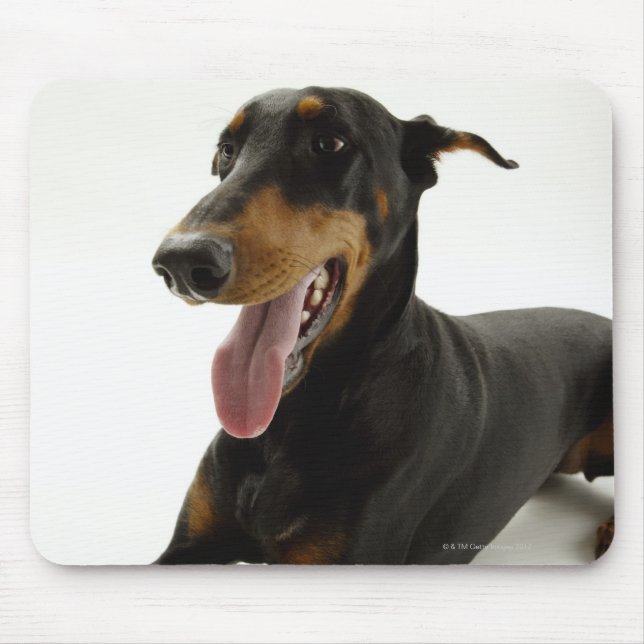 Doberman Pinscher 2 Mousepad (Vorne)