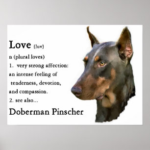 Doberman Pinscher Art Print Poster
