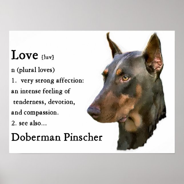 Doberman Pinscher Art Print Poster (Vorne)
