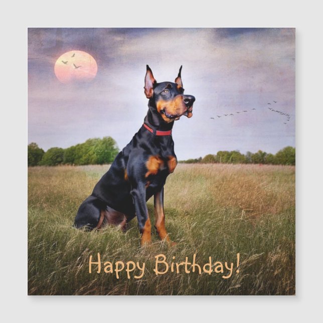 Doberman Pinscher Birthday Magnetkarte (Vorderseite)