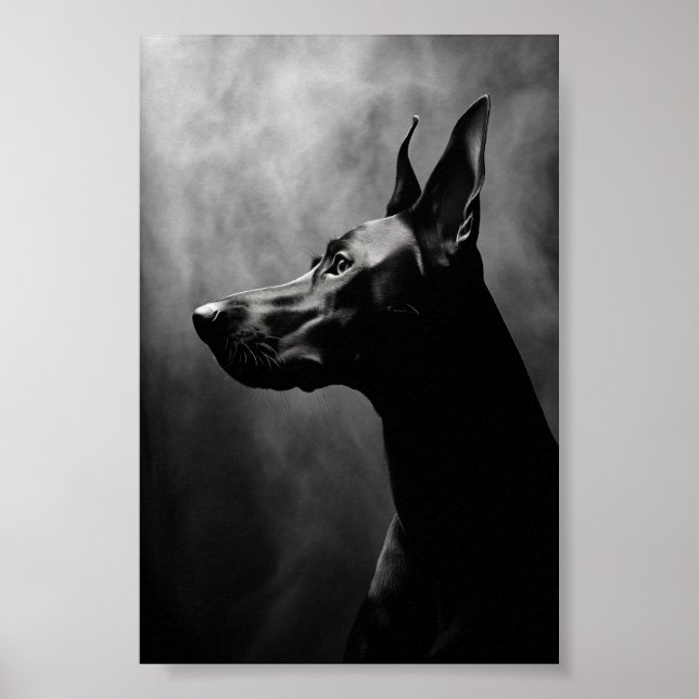 Doberman Pinscher Black and White Poster (Vorne)