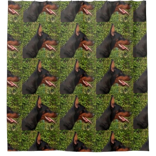 Doberman Pinscher Duschvorhang (Vorderseite)