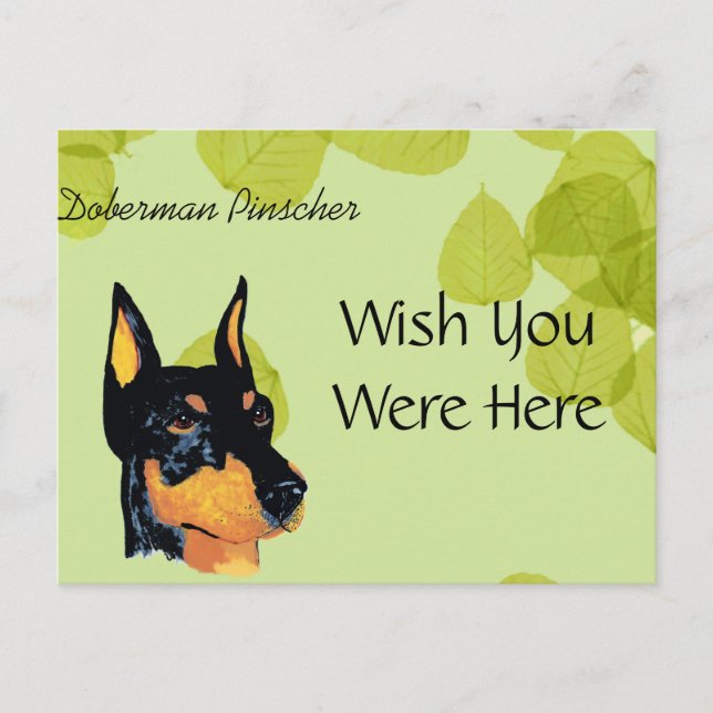 Doberman Pinscher ~ Green Blätter Design Postkarte (Vorderseite)