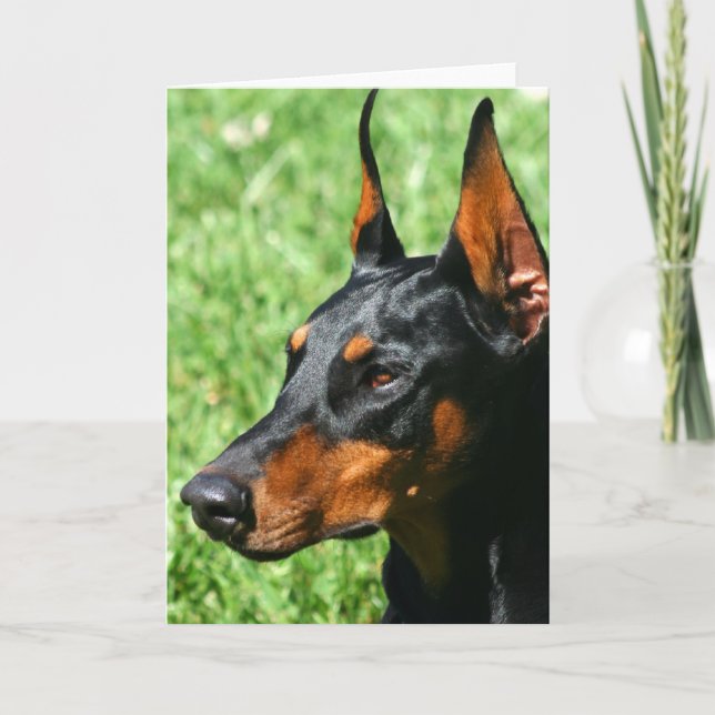 Doberman Pinscher Grußkarte Karte (Vorderseite)