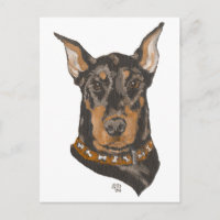 Doberman Pinscher Head Study