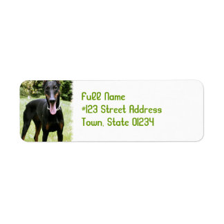 Doberman Pinscher Hund Rücksendeadresse