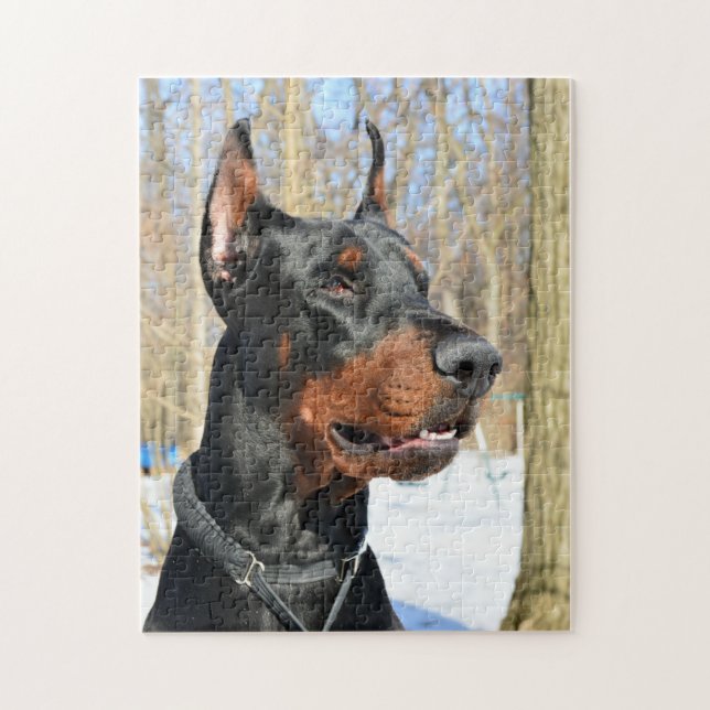 Doberman pinscher im Schnee Puzzle (Vertikal)