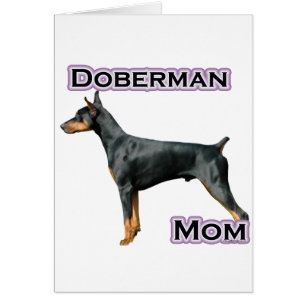 Doberman Pinscher Mama 4