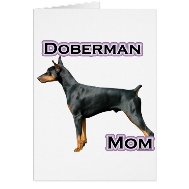 Doberman Pinscher Mama 4 (Vorne)