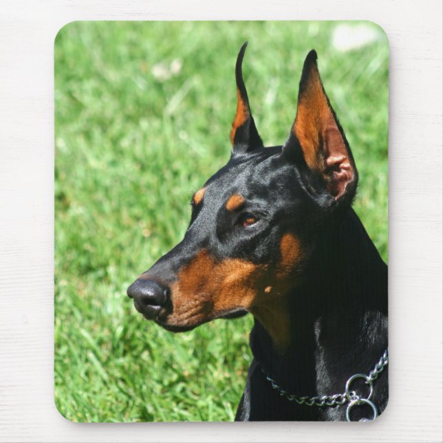Doberman Pinscher mousepad (Vorne)