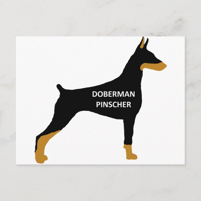 Doberman Pinscher Name Farbe Silo schwarz Postkarte (Vorderseite)