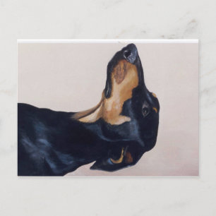 Doberman Pinscher Original Hund Postkarte