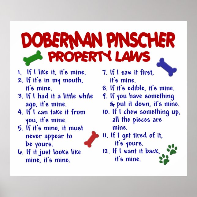 DOBERMAN PINSCHER PL2 POSTER (Vorne)