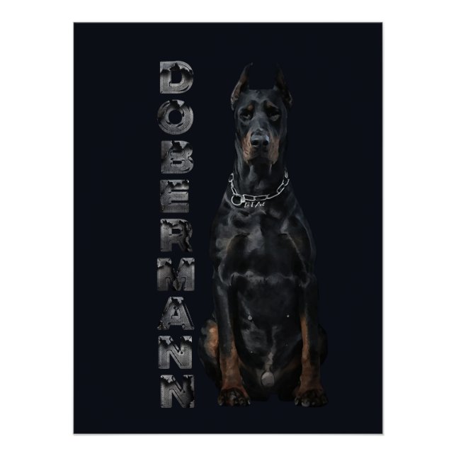 Doberman Pinscher Poster (Vorderseite)