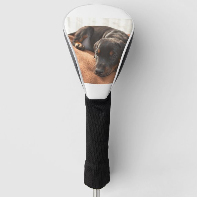 Doberman-pinscher-Puppy Golf Headcover (Vorderseite)