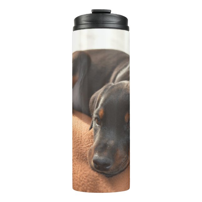 Doberman-pinscher-Puppy Thermosbecher (Vorderseite)