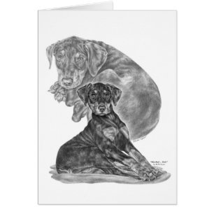 Doberman Pinscher Puppy Zeichnend von Kelli Swan