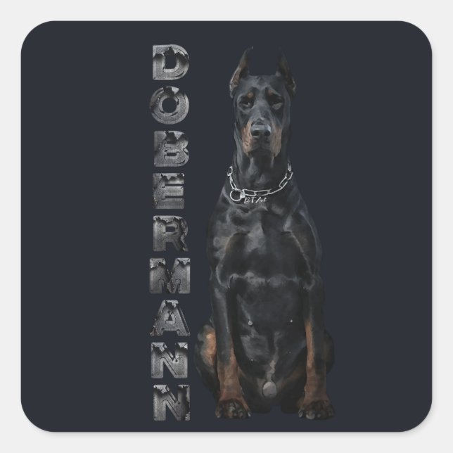 Doberman Pinscher Quadratischer Aufkleber (Vorderseite)
