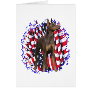 Doberman Pinscher (rot) Patriot