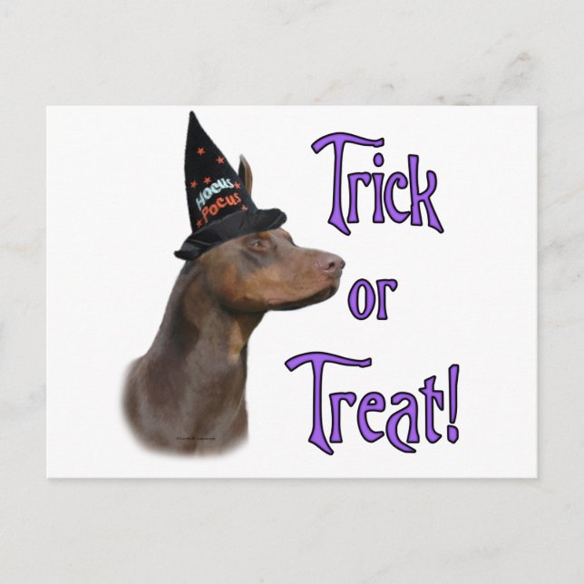 Doberman Pinscher (rot) Trick Postkarte (Vorderseite)