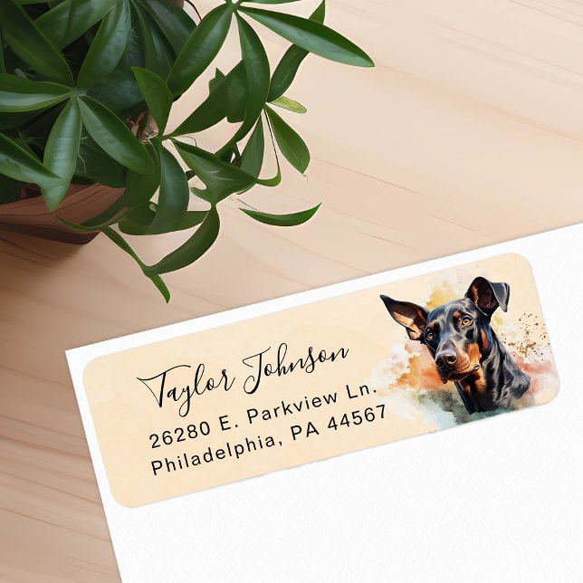 Doberman Pinscher Rücksendeadresse (Von Creator hochgeladen)