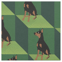 Doberman Pinscher über grüne Cubes