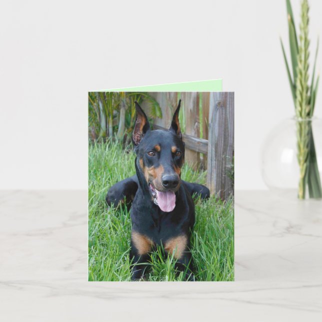 Doberman Pinscher Welpe Hund Blank-Karte Karte (Vorderseite)