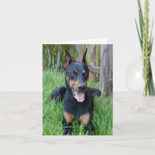Doberman Pinscher Welpe Hund Blank-Karte Karte (Vorderseite)