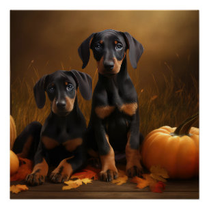 Doberman Puppy Autumn Delight Pumpkin Poster