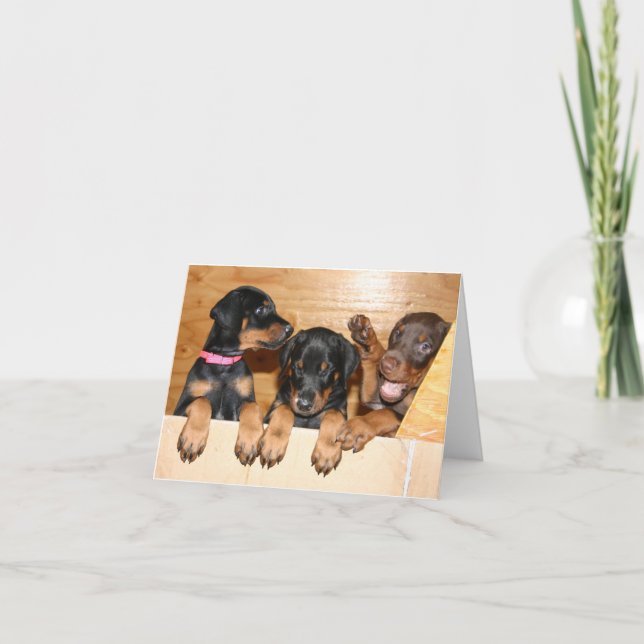 Doberman Puppy Note Card Karte (Vorderseite)