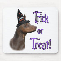 Doberman Red Trick