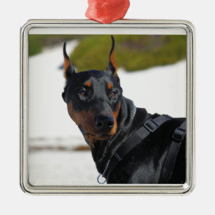 Doberman - Schwarz - Bogie Silbernes Ornament