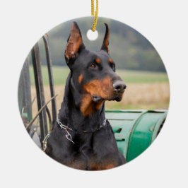 Doberman sitzt in einem grünen Landhaus Keramik Ornament