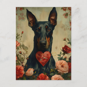 Doberman Vintag Valentinstag Postkarte