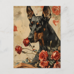 Doberman Vintage Valentinstag Postkarte